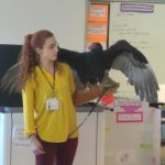 Schuylkill Center with turkey vulture in Academies @ Roxborough classroom